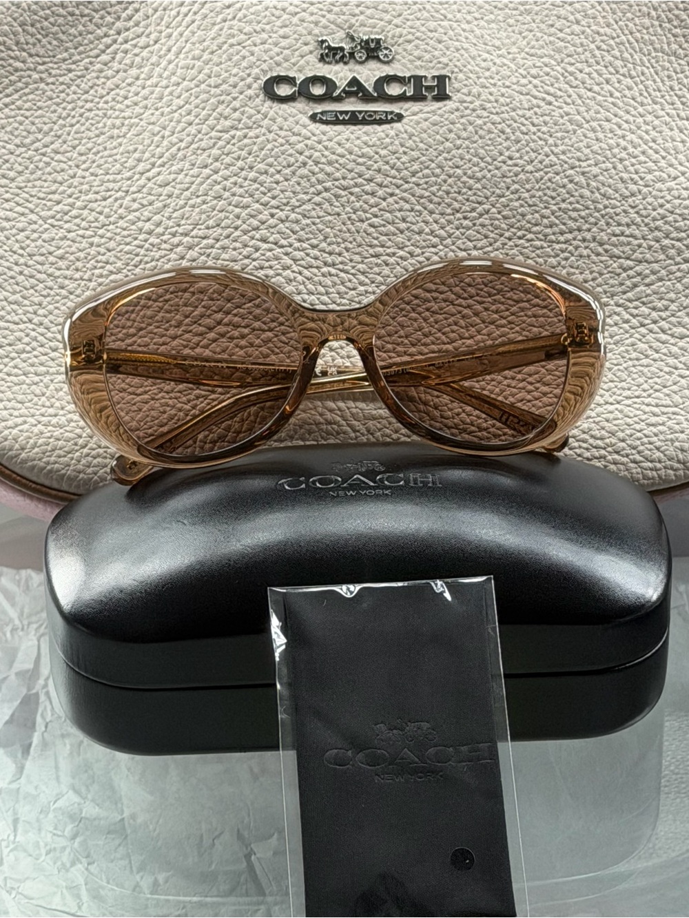 Coach Brown Transparent Oversized Women’s Sunglasses
